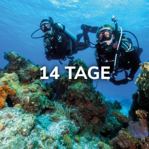 Open Water Diver (Deutsch, 14 Tage)