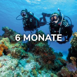 Open Water Diver (Deutsch, 6 Monate)